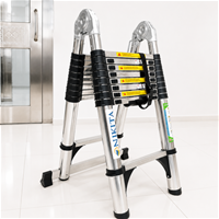 Thang Inox Rút Đôi Chống Trượt NIKITA NKT-IDA56