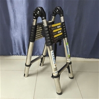 Thang Rút Đôi Inox Chữ A, Chữ I Chính Hãng NIKITA IDA66