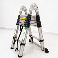 Thang Inox Rút Đôi Chống Trượt NIKITA STA30-500
